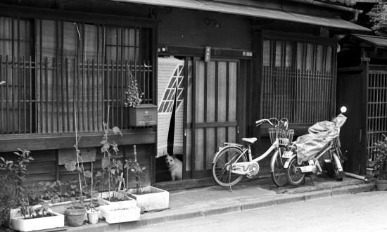 1986年7月 千代田区富士見にて
